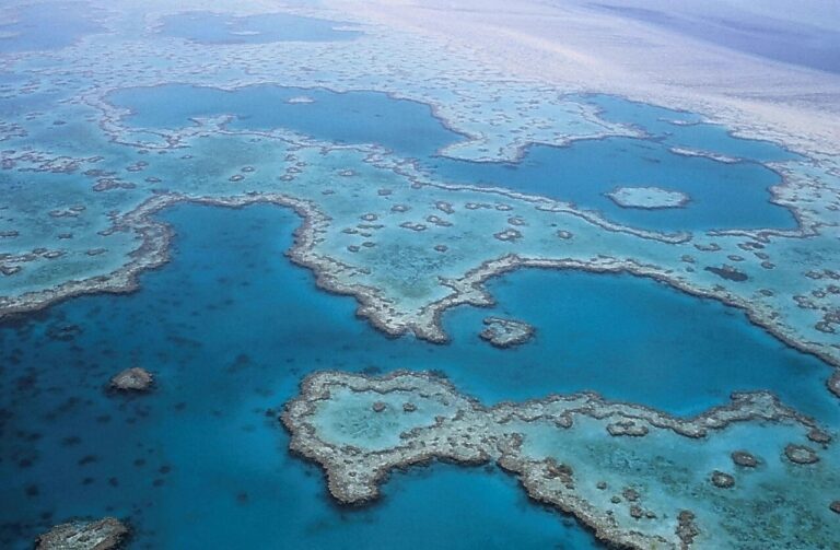 great barrier reef australia 4