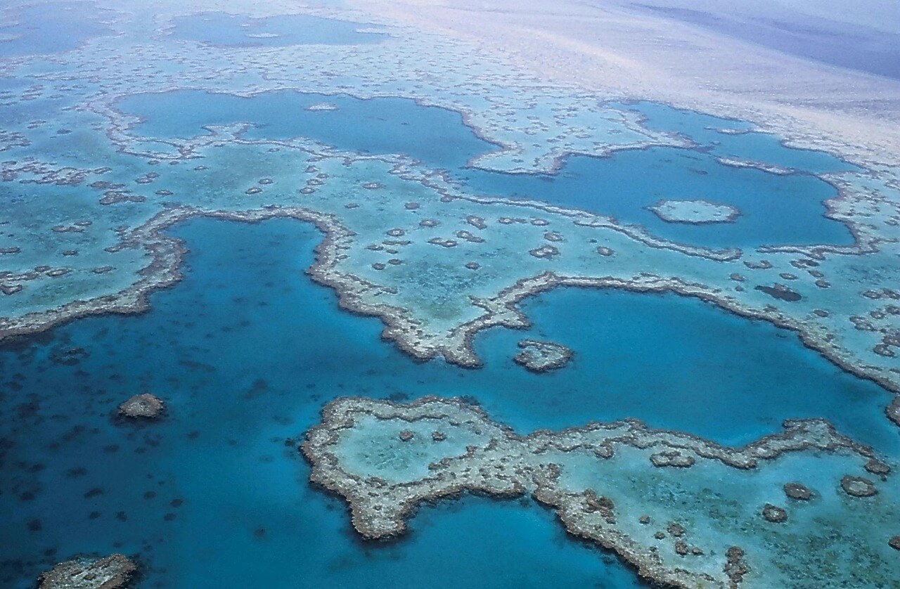 great barrier reef australia 4