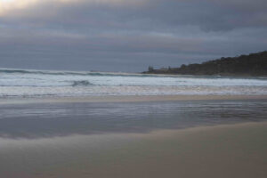 phillip island australian