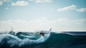 surf en australia