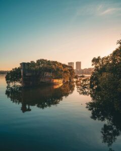 cobungra river australia