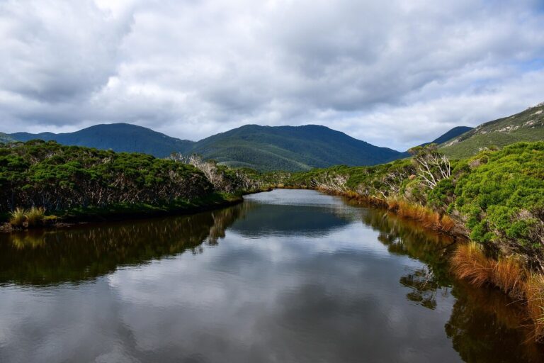 cobungra river australia 4