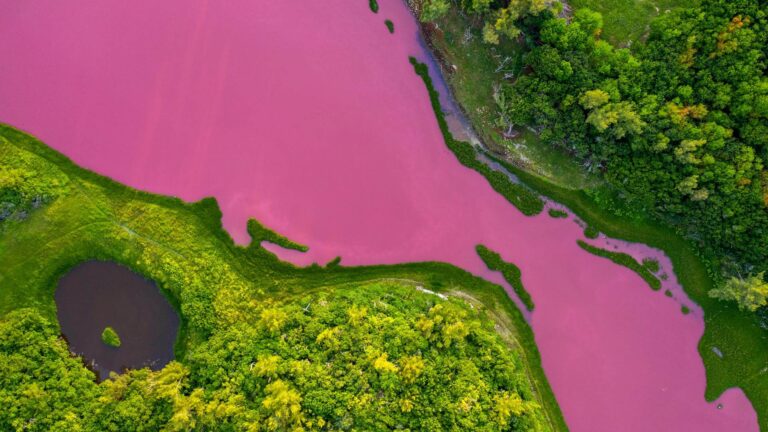 lake hillier 1