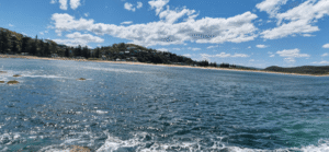 A wide view of Palm Beach’s sparkling blue ocean under a sunny sky with scattered clouds, lined by a tree-fringed sandy shore and lush green hills in the background.