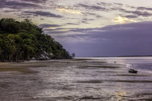 Seeing Dingoes on Fraser Island – A stunning landscape of Fraser Island's beach at dusk, with the natural beauty surrounding the dingo's territory