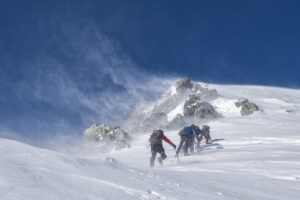 Mount Field Tasmania