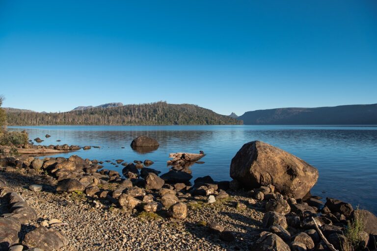 Lake St Clair National Park – A peaceful view of the clear blue waters and rocky shoreline at Lake St Clair National Park, surrounded by lush greenery and distant mountains